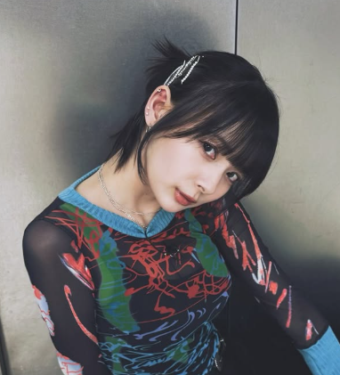 岡田紗佳 嫌い